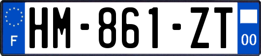 HM-861-ZT
