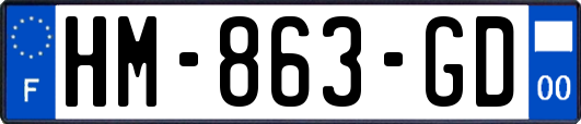 HM-863-GD
