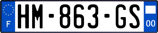 HM-863-GS