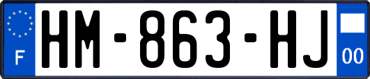HM-863-HJ