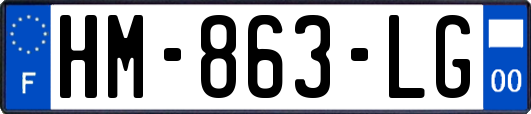 HM-863-LG