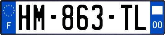 HM-863-TL