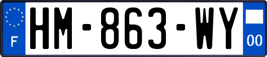 HM-863-WY
