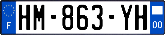 HM-863-YH