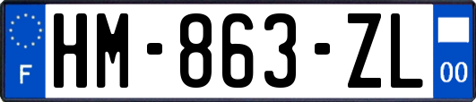 HM-863-ZL