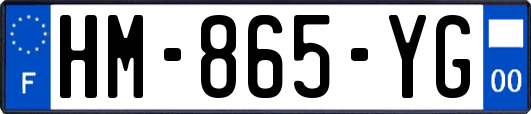 HM-865-YG