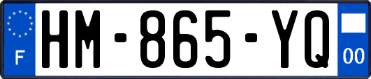 HM-865-YQ
