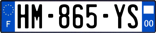 HM-865-YS