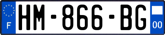 HM-866-BG
