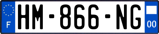 HM-866-NG