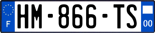HM-866-TS