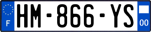 HM-866-YS
