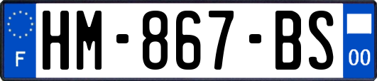HM-867-BS