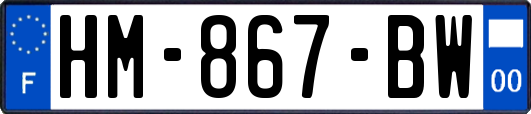 HM-867-BW