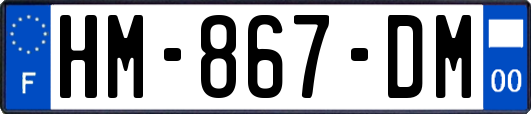 HM-867-DM
