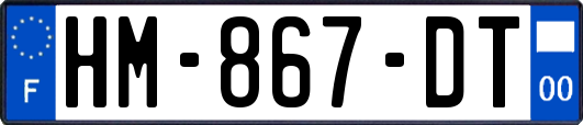HM-867-DT