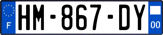 HM-867-DY