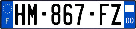 HM-867-FZ