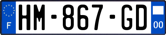 HM-867-GD