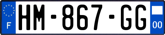 HM-867-GG