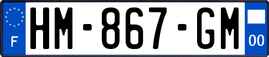 HM-867-GM