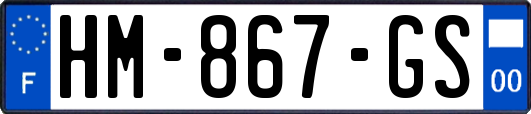 HM-867-GS