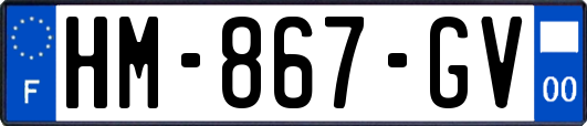HM-867-GV