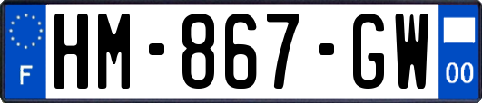 HM-867-GW