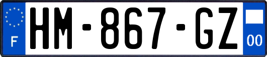 HM-867-GZ