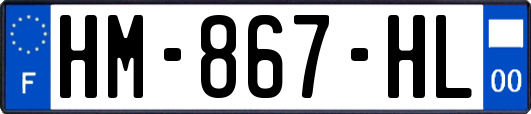 HM-867-HL