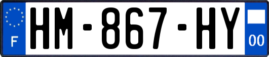 HM-867-HY