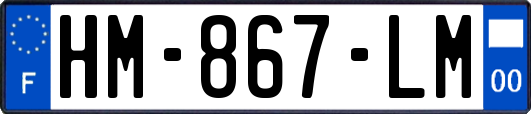 HM-867-LM