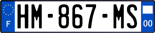 HM-867-MS