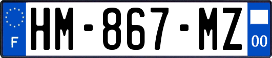 HM-867-MZ