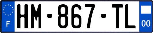 HM-867-TL