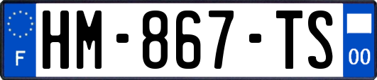 HM-867-TS