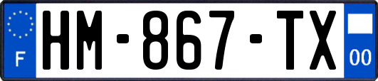 HM-867-TX