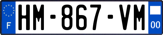 HM-867-VM