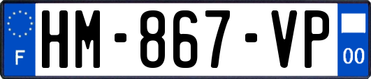 HM-867-VP