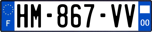 HM-867-VV