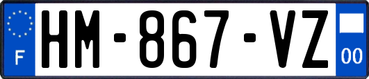 HM-867-VZ