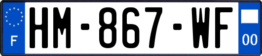 HM-867-WF