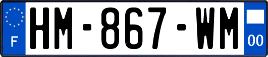 HM-867-WM