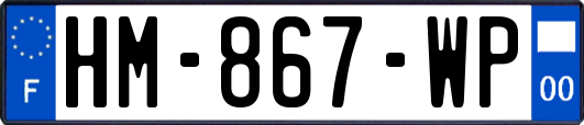 HM-867-WP