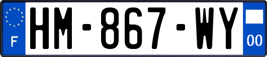 HM-867-WY