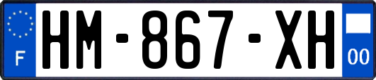HM-867-XH