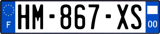 HM-867-XS