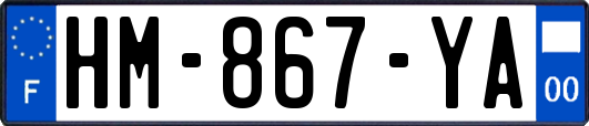 HM-867-YA
