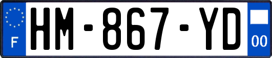 HM-867-YD
