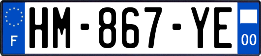 HM-867-YE